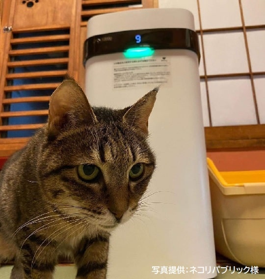 【保護犬猫施設応援プロジェクト_ネコリパブリック】Airdog X3D｜ホワイトサブ画像