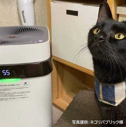 【保護犬猫施設応援プロジェクト_ネコリパブリック】Airdog X3D｜マットブラックサブ画像