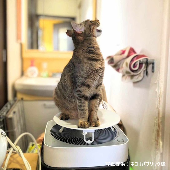 Airdog X3D｜マットブラック（トッププレート付）【保護犬猫施設応援プロジェクト_ネコリパブリック】サブ画像