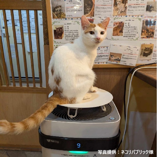 Airdog X3D｜ホワイト（トッププレート付き）【保護犬猫施設応援プロジェクト_ネコリパブリック】サブ画像