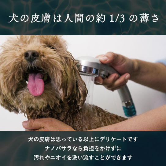 【期間限定】ナノバサラ特別キャンペーン｜オリジナルシャワーヘッド付きサブ画像
