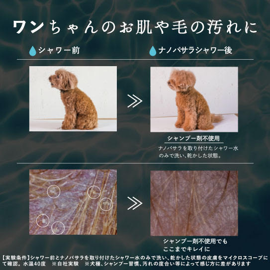 【期間限定】ナノバサラ特別キャンペーン｜オリジナルシャワーヘッド付きサブ画像